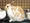 ○うさぎ先生○さん