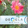DEOGLA (fIO) / DEOGLA Ora Tech(fIOI[ebN)iby KOKORONj