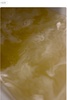 2025-01-06 23:13:49