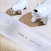 IrX / IrX[ GbZX[Viby ice-bearj