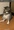 ちょちょちょpi.toさん