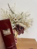 SK-II / tFCV g[gg GbZXiby ߂cj