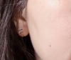 IMG_8725.jpeg