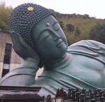 ͂͂낢