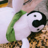 ponchan