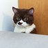 ܂饁:*:߂