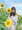 chiiichuuunさん