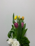 ۂۂۂۂ􂳂