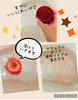 IMG_2200.jpeg by ݂炲