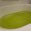 IMG_2598.jpeg
