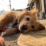 mana19981027