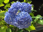 ͂؁[؂ނ