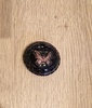 2025-03-17 11:42:33