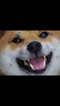 haruCOSME