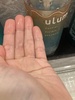 IMG_8421.jpeg