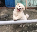 g]