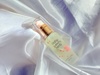 2025-05-08 08:15:25 by xt[