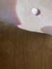 IMG_7405.jpeg
