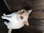 [_}}