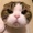 怒った!さん