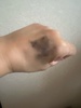 2024-09-17 07:38:50