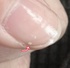 2024-12-13 15:02:54 by ߂񂳂