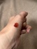 2025-05-27 17:08:30 by ߂555