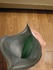 2025-07-28 15:24:27 by らいかめさん