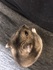 912