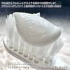2025-03-31 23:13:20 by *.