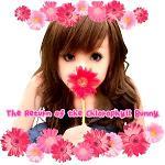 hi_bN