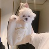 pimkie2012