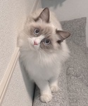 bibi_610