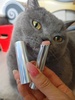 2024-08-02 13:10:44 by AX13