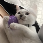 邿񂾂悳