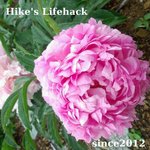 Hike