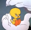 smi0125