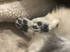 ۂ􂳂