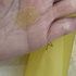IMG_0646.jpeg by }{