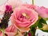 luv_cosme
