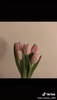 肢