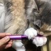 q邳
