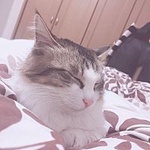 ˂˂˂˂ˁB