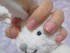 2011-12-29 01:31:04 by vVP