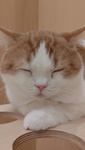 }_G