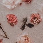 [ۂۂہ[񂳂