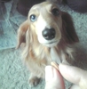 peB̃}}