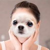 ͂₭ɂȂ肽