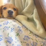 ɂR