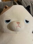 imyy